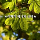 이파리 - 광양시 칠성로 52 | 이파리