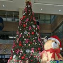 진동회집 이미지