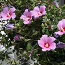 홍천향토사료관 이미지