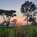 라이브 펜션 이미지