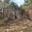 기응세선생묘 이미지