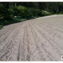 달봉농원 이미지