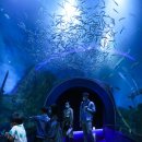 다누리센터 아쿠아리움 이미지