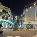 지에스25주안대로점 | 25주차 임산부와 고양이 태교