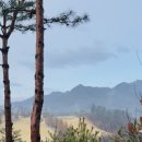 3463 | [공지] [가평] 골프장 리앤리CC 라운딩 후기