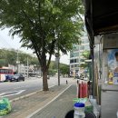 남양주 도농역 맛집 오래된 찐맛집 가운소곱창 솔직후기
