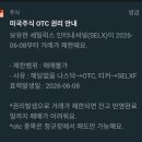 급등주 타다 물렸습니다… 세미럭스 인터내셔널 주주가 겪은 현실 정리