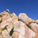 반구대 편백하우스 이미지