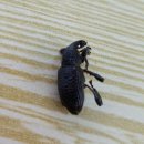 근영농장 이미지