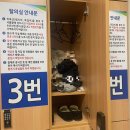 가톨릭대학교서울성모병원 티스토리