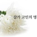 호산나 이미지