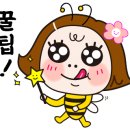 렉스플라이 이미지