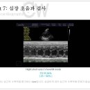 강남종합동물병원 이미지