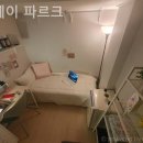 스테이파르크