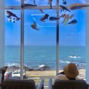 제주도 어디까지 즐겨봤니? 제주도 여행 3박4일 코스 추천-1일차