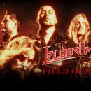 BLOODBOUND - Field Of Swords 이미지