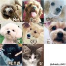 예능농장 이미지