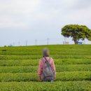 서광리-14 이미지