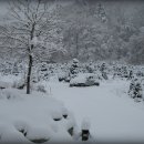 치래마을 이미지