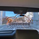 부르멍 펫택시 이미지