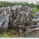 자연그대로 이미지