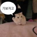 장생포 대왕암 코스 이미지