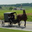 [펌] 아미쉬 마을(Amish Village) 이미지