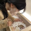 21그램 반려동물장례식장 네이버블로그