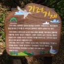 봉수마을회관 Daum카페