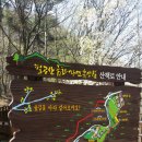 팔공산금화자연휴양림 이미지