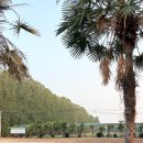 아리랑세탁 | 리조트) 3월 태국 방콕 : 아티타야CC 나콘나욕 리조트 : 해외 골프 가성비 골프텔 추천