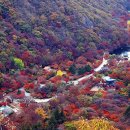 내장산 관광안내소 이미지