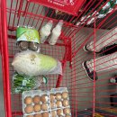 춘천제일식자재마트 이미지