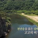 섬바위오토캠핑장 이미지