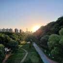 개포디에이치자이공인중개사사무소 | 개포 디에이치 퍼스티어 아이파크(디퍼아) 아파트 거래 전문 공인중개사 고수덕