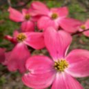 귀거래가든 이미지