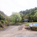 대법사 티스토리