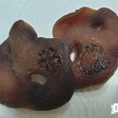 곳간-멍앤캣 이미지