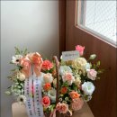 마셀 이미지
