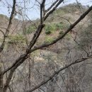 UR(파주시)-[구름다리길]-상-5 | [경기도산행] 파주시 적성면 감악산 산행(2020.3.28.토요일)