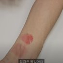 알뤼르 - 유성구 엑스포로 488 | 알뤼르