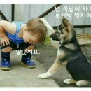 좋은사람들 이미지