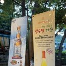 가야오리불고기