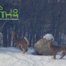 수미민박 이미지