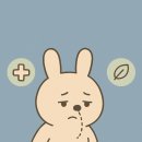 헬시퀸