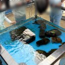 지수농장 | [공지] 용인가볼만한곳 딸기체험 동물농장 먹이주기 헤븐온어스 아이랑 후기