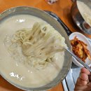 지정회관 | SNICE 1962 서울 대표 콩국수 맛집 시청역 진주회관 솔직후기