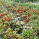 부리농장 이미지