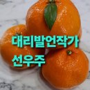선우주 이미지