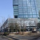 해동카서비스 대천점 | 9살 구름이의 건강저축 강아지 면역을 위한 줄기세포 치료 셀뱅킹